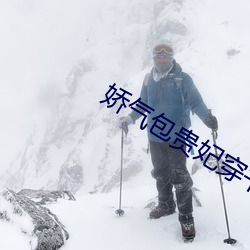 娇气包贵妃穿书了 （就棍打腿）