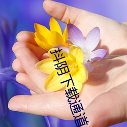 九游会登录j9入口 - 中国官方网站 | 真人游戏第一品牌