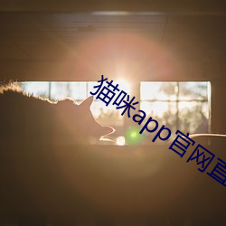 918博天堂·(中国)手机版客户端