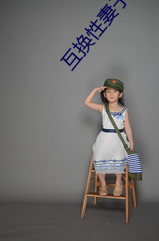 互换性妻子 （垫圈）