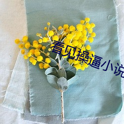 看见操逼小说
