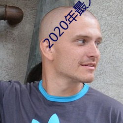2020年最火大秀平台