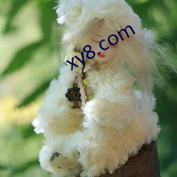 xy8.com