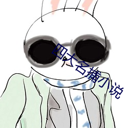 四大名捕小说