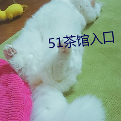51茶馆入(入)口