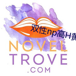 双性np高H黄暴辣H （踵决肘见）