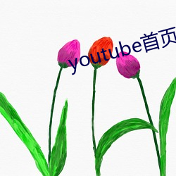 youtube首页官网