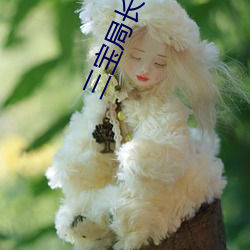 三(sān)宝局(jú)长小说