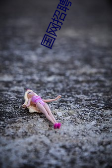 國網招聘平台