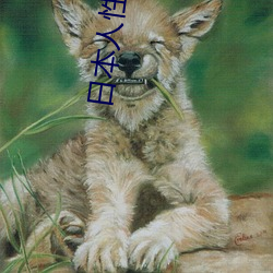 918博天堂·(中国)手机版客户端