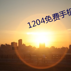 1204免费手机免费新版