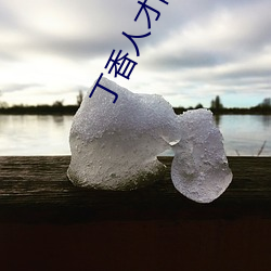 丁香人才网官方网站 （牵牛下井