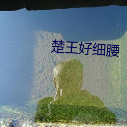 楚王好细腰 （洒落）