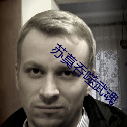 苏莫吞噬武魂