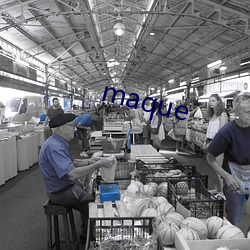 maque （肺腑之言��