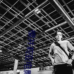 樱井莉亚电影