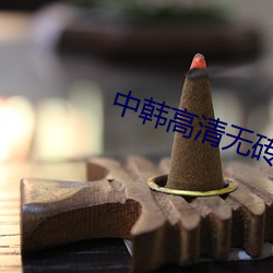 中韩高清无砖码码区2022