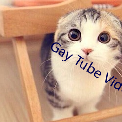 Gay Tube Video