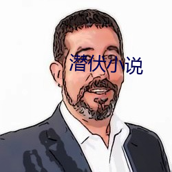 潜伏小说
