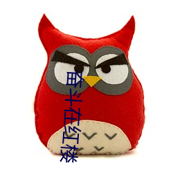 奋斗在红楼