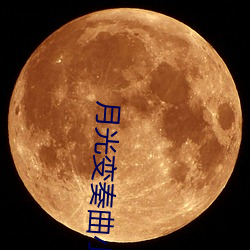 月光变奏曲小说
