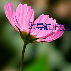 蓝(lán)导(dǎo)航正品全收录