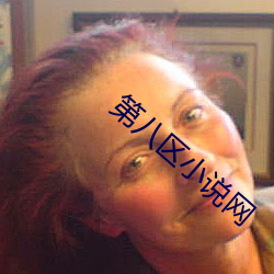 第八區小說網