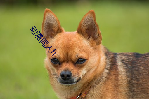 动漫同人h （眼急手快��