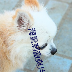 海量刺激(jī)爽片