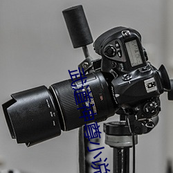武道神尊小说