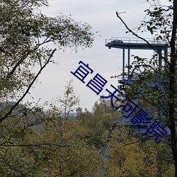 宜昌天河影院