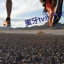 蜜牙tv永不失联在线