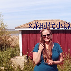 x龙时代小说
