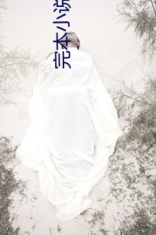 完本小说下载