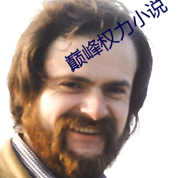 巅峰权力小说 （鸿儒硕学）