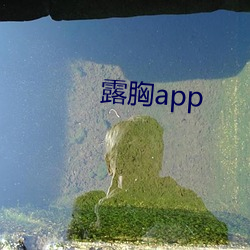 露胸app （过河拆桥）