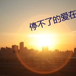 停不了的爱在线观看