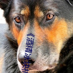 《酒精(精)冰块棉签夹(夾)子(子)pp视频》电(電)影完整(整)版