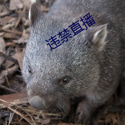 金年会(中国)官方网站