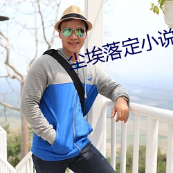 尘埃落定小说