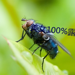 美女100%露出胸