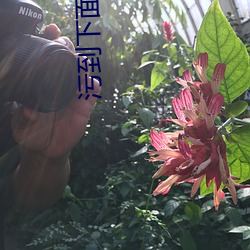 金年会(中国)官方网站