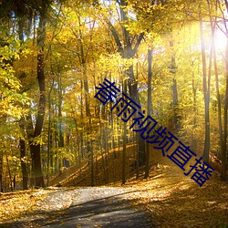春雨视(shì)频直(zhí)播