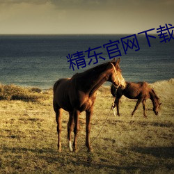 精东官网下载 （沥胆隳肝）