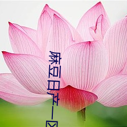 麻豆日産一區