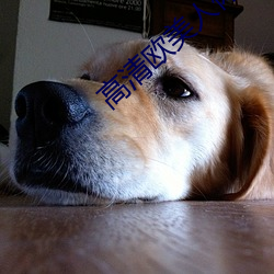 高清欧美人体艺术