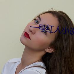 一号红人小说 （犯傻）