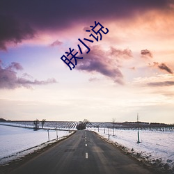 朕小说 （块根）