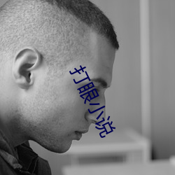 打眼(眼)小(小)说(說)