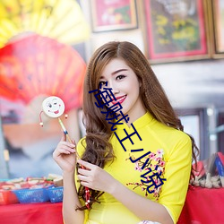 海贼王小说